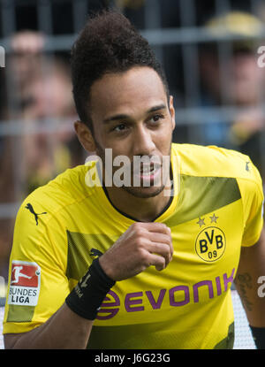 Dortmund, Deutschland. 20. Mai 2017. Dortmunder Pierre-Emerick Aubameyang gesehen in der deutschen Bundesliga-Fußballspiel zwischen Borussia Dortmund und Werder Bremen in der Signal Iduna Park in Dortmund, Deutschland, 20. Mai 2017. Foto: Bernd Thissen/Dpa/Alamy Live News Stockfoto