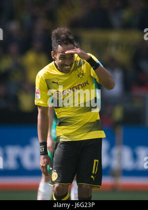 Dortmund, Deutschland. 20. Mai 2017. Dortmunder Pierre-Emerick Aubameyang gesehen in der deutschen Bundesliga-Fußballspiel zwischen Borussia Dortmund und Werder Bremen in der Signal Iduna Park in Dortmund, Deutschland, 20. Mai 2017. Foto: Bernd Thissen/Dpa/Alamy Live News Stockfoto