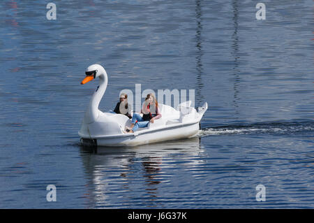 Die Menschen genießen heißen Tag in Swan Tretboote am Fluss Lea im Queen Elizabeth Olympic Park, London England United Kingdom UK Stockfoto