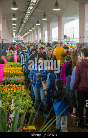 Detroit, Michigan/USA - 21. Mai 2017 - Tausende drängen osteuropäische Markt für Detroits jährliche Blume, Frühling wenn Hunderte von Blumenzüchter ihre Produkte zum Verkauf anbieten. Östlichen Markt ist groß, die Innenstadt von Bauernmarkt Detroits. Stockfoto