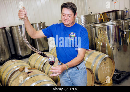 Virginia Fincastle, Virginia Mountain Vineyards, Weinberg, Winzer, Tests, Gießen, Fässer, Glas, Wein, VA080503040 Stockfoto