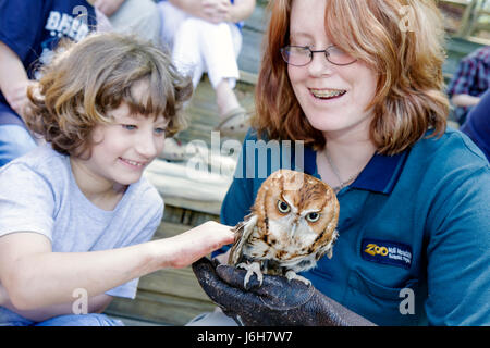 Roanoke Virginia, Mill Mountain Zoo, Kreischeule, Vogelvögel, Tier, Trainer, Mädchen, junge Jugendliche Jugendliche weibliche Kinder Kinder Kinder Stockfoto