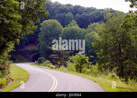 Blue Ridge Parkway Virginia, Appalachian Mountains, Natur, Natur, Landschaft, Bäume, Kurve, gelbe Linien, Bluff Mountain Tunnel, VA090618022 Stockfoto