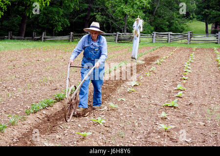 Blue Ridge Parkway Virginia, Appalachian Mountains, Humpback Rocks, Visitors Center, Farm Trail aus dem 19. Jahrhundert, lokale Geschichte, Reenactor, Mann Männer, Landwirtschaft, Stockfoto