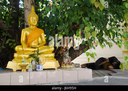 Thai vagabond Menschen schlafen auf Boden unter Ficus Religiosa oder Heilige Feigenbaum mit Buddha Statue Tempel Wat Thung Satit am 19. Februar 2017 in Bang Stockfoto