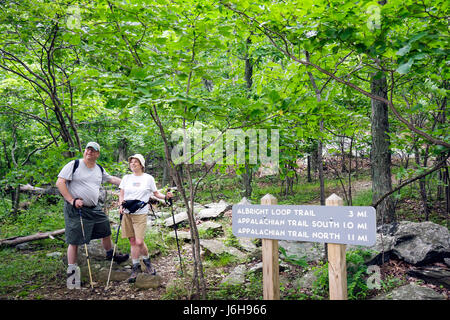 Blue Ridge Parkway Virginia, Appalachian Mountains, Humpback Rocks, Wandern, Trail, Wandern, Mann Männer männlich, Frau weibliche Frauen, Paar, Natur, körperliche Aktivität, t Stockfoto