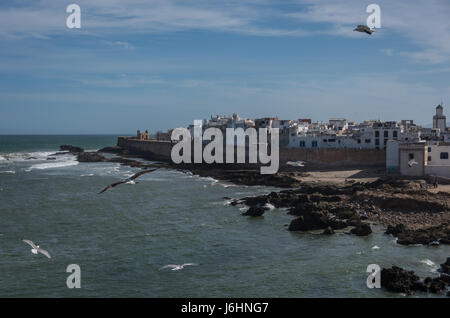 Blick auf Essaouira Altstadt weit verbreitet und das Meer von Scala du Port (nördliche Skala) Fort mit Möwen im Vordergrund, Mugadur, Marokko Stockfoto