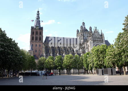 Mittelalterliche Sint-Janskathedraal (St. John's Kathedrale). Stadt Den Bosch, Brabant, Niederlande, vom Paradeplatz gesehen. Brabantine gotischen Stil Stockfoto