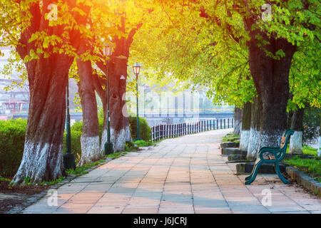 Die längste in Europa Lindenallee in Uzhgorod Stadt. Zarte grüne Laub der frühen Frühling. Ukraine, Europa Stockfoto