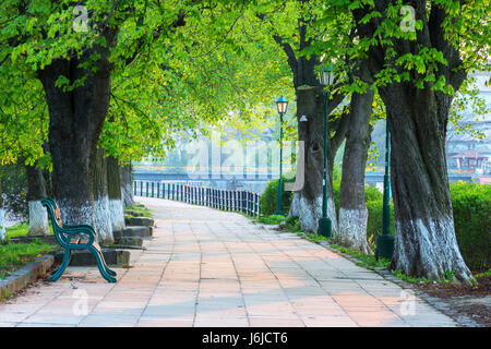 Die längste in Europa Lindenallee in Uzhgorod Stadt. Zarte grüne Laub der frühen Frühling. Ukraine, Europa Stockfoto