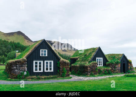 Traditionelle Häuser mit Rasen auf Dach in Island Stockfoto