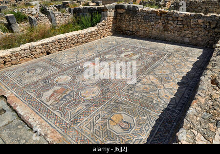 Mosaik in Gordion Palast, Haus des Dionysos, in der römische Ausgrabung von Volubilis, Marokko, Afrika Stockfoto