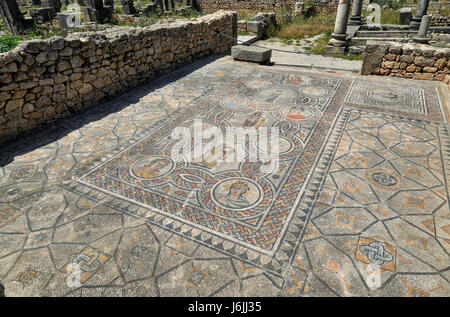 Mosaik in Gordion Palast, Haus des Dionysos, in der römische Ausgrabung von Volubilis, Marokko, Afrika Stockfoto