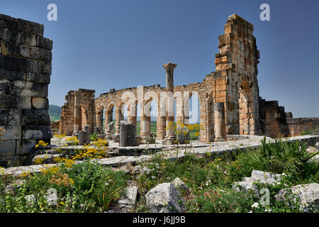 Basilika von Volubilis, römische Ausgrabungen in Marokko, Afrika Stockfoto