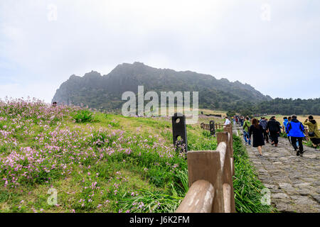 7. April 2017 Seongsan Sunrise Peak in Insel Jeju, Südkorea Stockfoto