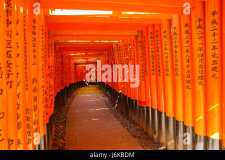 Fushimi Inari Torii-Tore Stockfoto