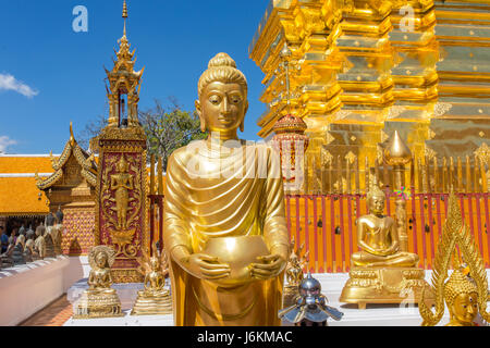 Goldene Chedi (Stupa) und Regenschirm im Tempel Wat Phra, die Doi Suthep, Chiang Mai, Thailand Stockfoto