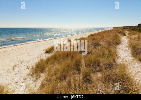 Strand und Dünen in Grenaa, Ostsee Küste von Djursland Halbinsel, Jütland, Dänemark Stockfoto