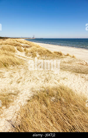 Strand und Dünen in Grenaa, Djursland Halbinsel, Jütland, Dänemark Stockfoto