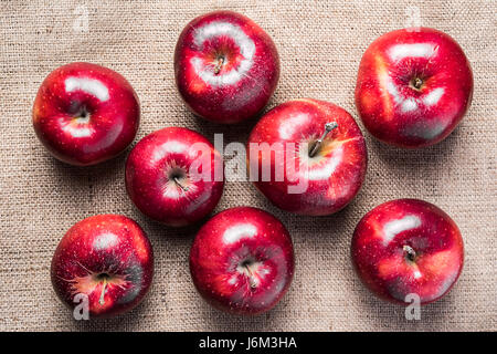 Draufsicht der acht bunte hell glänzend rote Äpfel mit paar gelbe Flecken auf braunem Entlassung material Stockfoto