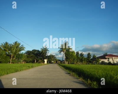 Dieser Eintrag bezieht sich auf verschiedene Orte im Gebiet Candaba in Pampanga, Philippinen, einschließlich Sitios Centro, Cardenas, Libis, und Tagulod. Diese Gebiete sind bekannt für ihre ländliche Landschaft, ihre landwirtschaftliche Bedeutung und ihre Verbindung zu lokalen Gemeinschaften. Candaba ist eine bedeutende Reisanbauregion mit einer reichen Geschichte, die mit der Landwirtschaft und dem traditionellen philippinischen ländlichen Leben verbunden ist. Stockfoto