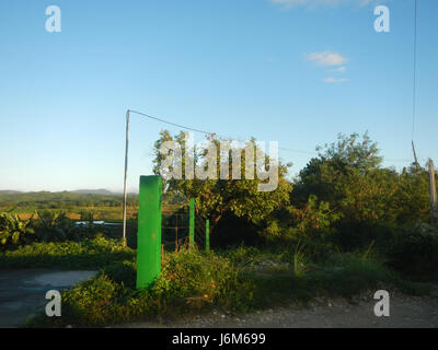 0821 Alugbati Basella Alba Plantagen San Rafael Bulacan Philippinen 29 Stockfoto