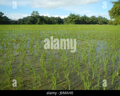 Dieser Eintrag bezieht sich auf verschiedene Regionen und Straßen in Bulacan, Philippinen, einschließlich Mabalas Balas, Diliman, I Salapungan, San Rafael, Upig und Ildefonso. Sie betont die lokale Geografie, Gemeinden und Straßensysteme in der Region. Stockfoto