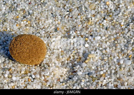 Quarzsand, ist es, Cabras, Sinis, Provincia di Oristano, Oristanese, Sardinien, Italien Stockfoto