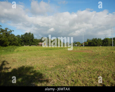 06550 Reisfelder Bäume wiesen Diliman I Salapungan San Rafael Bulacan Dörfer 07 Stockfoto