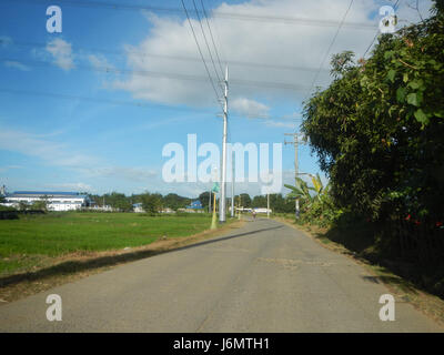 06550 Reisfelder Bäume wiesen Diliman I Salapungan San Rafael Bulacan Dörfer 22 Stockfoto