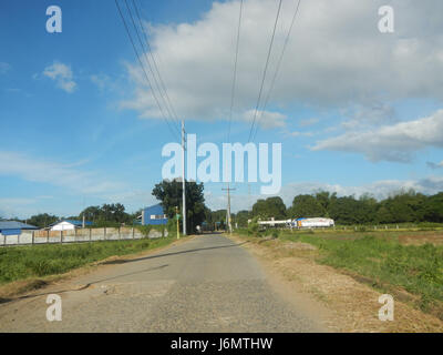 06550 Reisfelder Bäume wiesen Diliman I Salapungan San Rafael Bulacan Dörfer 24 Stockfoto