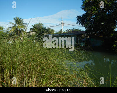 09478 Reisfelder Bewässerung Bagong Nayon Baliuag Bulacan Straße Brücken 02 Stockfoto