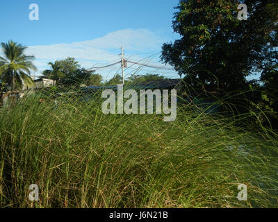09478 Reisfelder Bewässerung Bagong Nayon Baliuag Bulacan Straße Brücken 03 Stockfoto