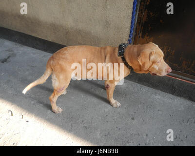 Dieser Eintrag bezieht sich wahrscheinlich auf ein Gebiet in Tondo, Manila, das die Baranggays, die Velasquez-Brücke und mehrere lokale Straßen umfasst. Es ist ein städtisches Umfeld auf den Philippinen mit Schwerpunkt auf lokaler Infrastruktur und Gemeinde. Stockfoto