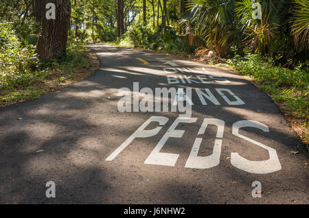 Der Timucuan Trail im Big Talbot Island State Park im Nordosten Floridas führt durch gepflasterte Rad- und Fußwege durch die Wälder. (USA) Stockfoto