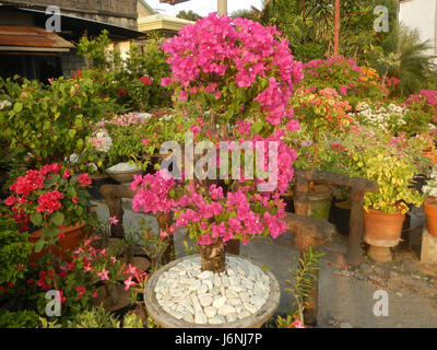 07822 Gartenstadt Santa Cruz Guiguinto, Bulacan 19 Stockfoto