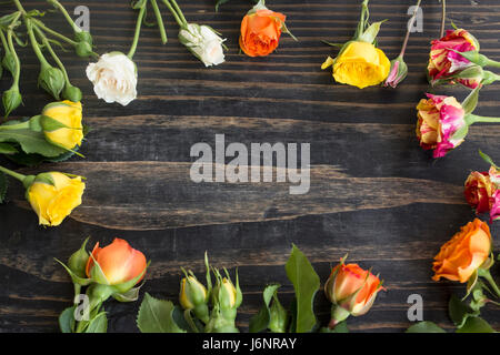 Bunte Rosen mit textfreiraum auf einem rustikalen hölzernen Hintergrund. Stockfoto