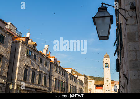 Die Sonne beginnt zu steigen über Dubrovnik, Gießen der Stradun in einem wunderschönen goldenen Licht.  Stare hektisch hin und her bevor sie drehen Stockfoto