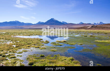 Spiegelfläche des Bergsee, umgeben von hohen Gipfeln und gelben Grases Stockfoto