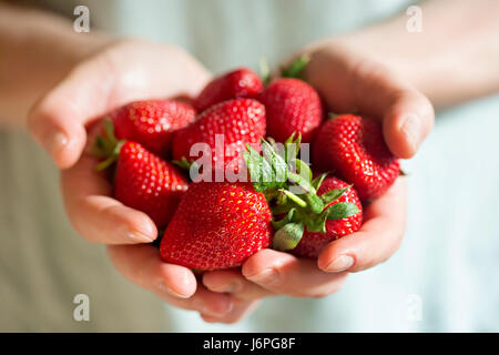 Handvoll Erdbeeren auf blauem Hintergrund Stockfoto
