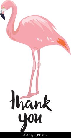 Vektor-Illustration eine Dankeschön-Karte mit flamingo Stock Vektor