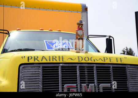 MISSOULA, MONTANA, USA - 20. Mai 2017: Präriehund Pete thront oben auf US-Repräsentantenhaus Kandidat Rob Quist LKW außerhalb einer 2017 Montana sp Stockfoto