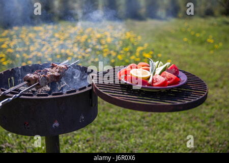 Marinierte Schaschlik vorbereiten auf ein Barbecue-Grill auf Holzkohle. Stockfoto