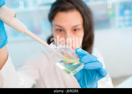 Der Techniker überprüft die Qualität von Trinkwasser im Labor Stockfoto