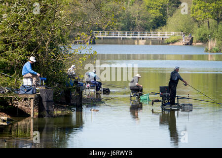 Fischer, die Teilnahme an einem Angelwettbewerb auf einem See in England an einem sonnigen Tag im Frühling. Stockfoto