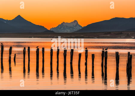 Der Golfregion Almirante Montt, Puerto Natales, Chile - Pazifik Gewässer in Chile, Patagonien, Magallanes Region bei Sonnenuntergang Stockfoto