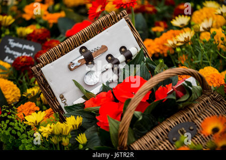 London, UK. 22. Mai 2017. RHS Chelsea Flower Show © Guy Corbishley/Alamy Live-Nachrichten Stockfoto