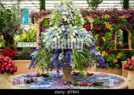 London, UK. 22. Mai 2017. RHS Chelsea Flower Show © Guy Corbishley/Alamy Live-Nachrichten Stockfoto