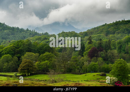 Landschaften um elterwater und Little langdale an einem warmen Frühlingstag. Stockfoto