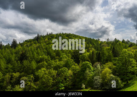 Landschaften um elterwater und Little langdale an einem warmen Frühlingstag. Stockfoto